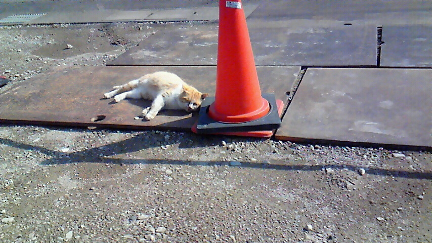 f:id:kaedeya:20190203184839j:plain f:id:kaedeya:20190203184839j:plain