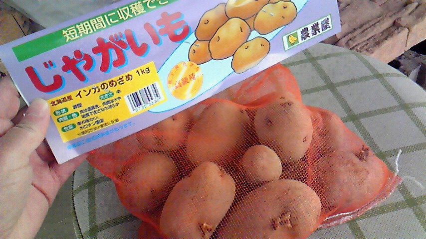 f:id:kaedeya:20190214124825j:plain f:id:kaedeya:20190214124825j:plain