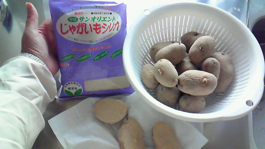 f:id:kaedeya:20190218141101j:plain f:id:kaedeya:20190218141101j:plain