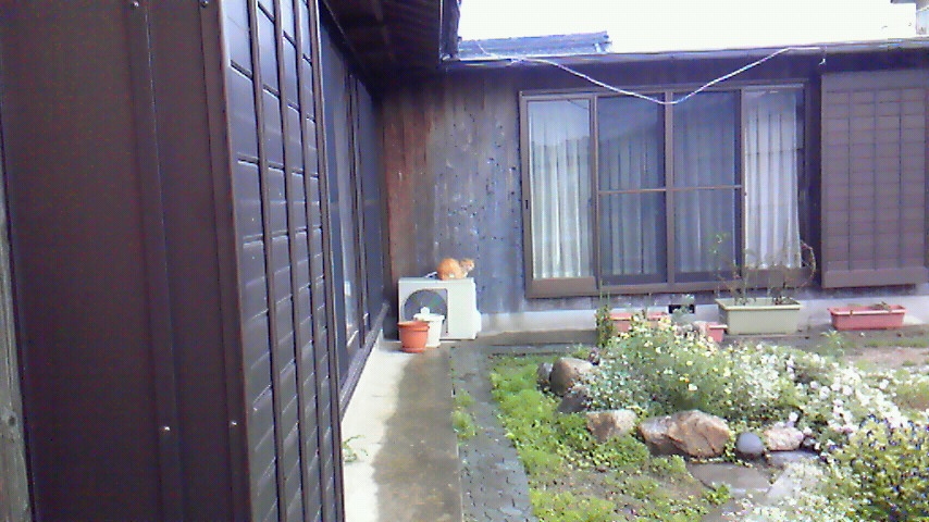 f:id:kaedeya:20190331212242j:plain f:id:kaedeya:20190331212242j:plain