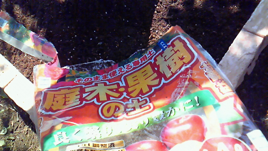 f:id:kaedeya:20190401180427j:plain f:id:kaedeya:20190401180427j:plain