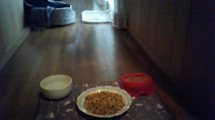 f:id:kaedeya:20190410103549j:plain