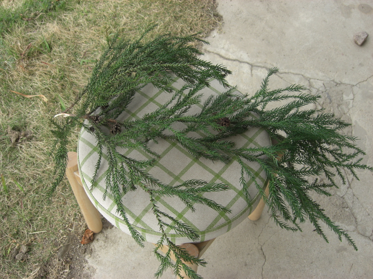 f:id:kaedeya:20190414110523j:plain f:id:kaedeya:20190414110523j:plain