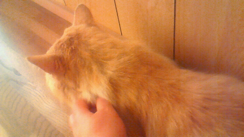 f:id:kaedeya:20190419105651j:plain