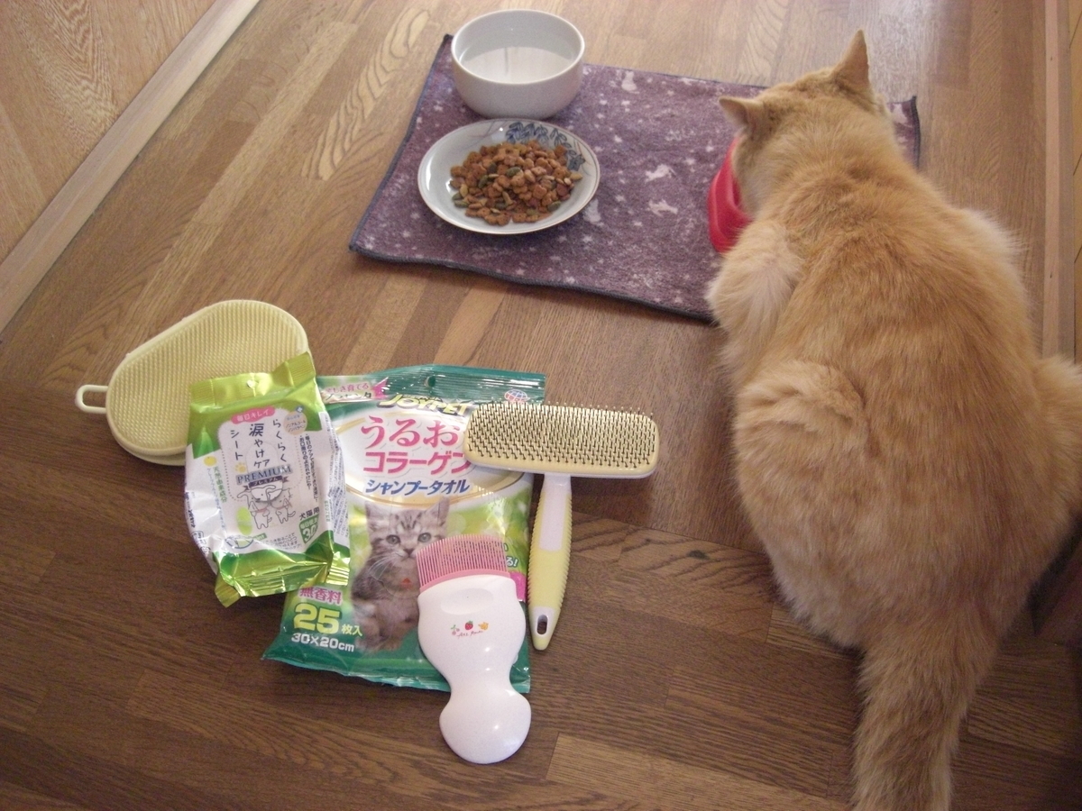 f:id:kaedeya:20190421143913j:plain