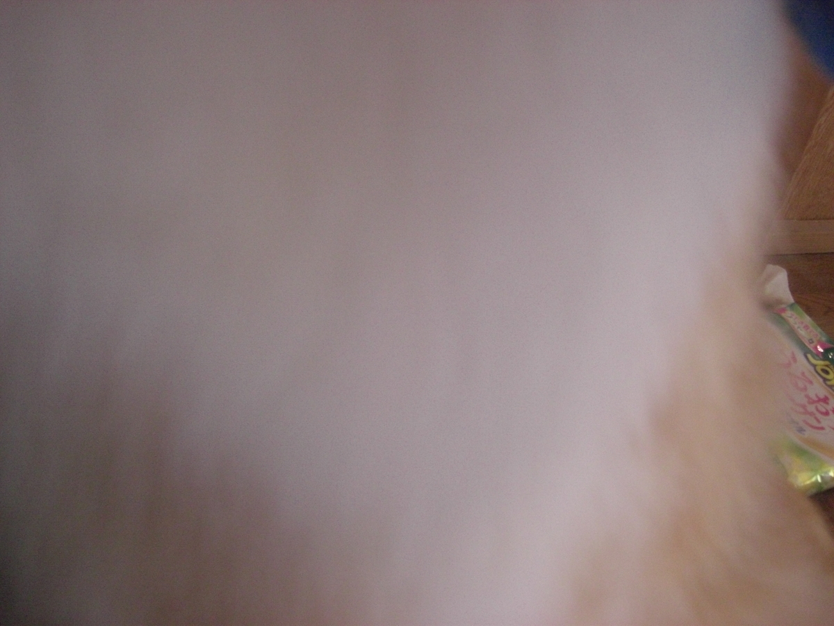 f:id:kaedeya:20190421144020j:plain