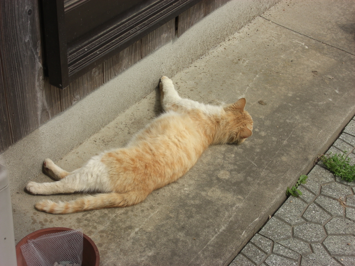 f:id:kaedeya:20190421145401j:plain