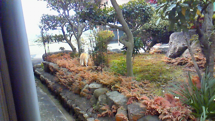 f:id:kaedeya:20190426142332j:plain