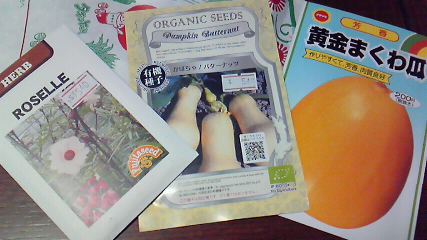 f:id:kaedeya:20190428065605j:plain