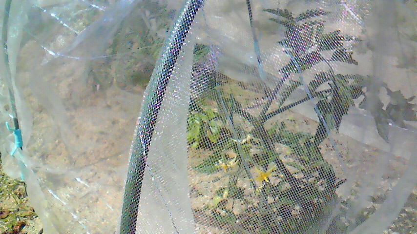 f:id:kaedeya:20190508135015j:plain