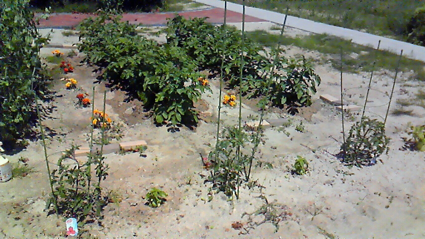 f:id:kaedeya:20190508135755j:plain