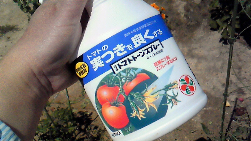 f:id:kaedeya:20190508144502j:plain f:id:kaedeya:20190508144502j:plain