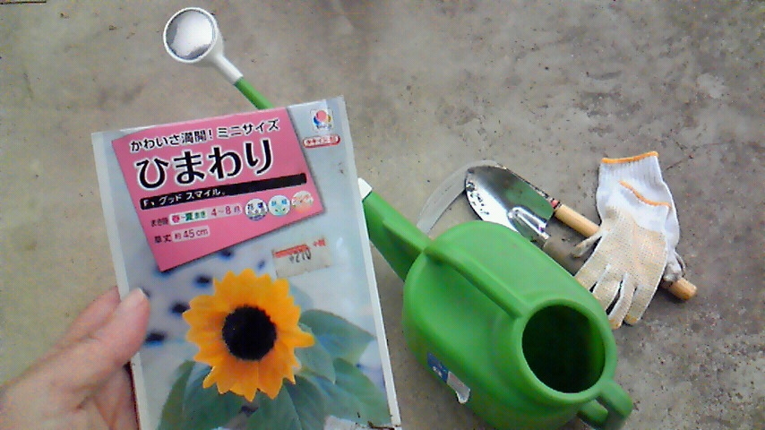 f:id:kaedeya:20190514132145j:plain f:id:kaedeya:20190514132145j:plain