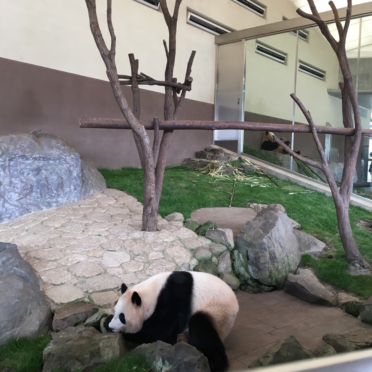 f:id:kaedeya:20190516233026j:plain f:id:kaedeya:20190516233026j:plain