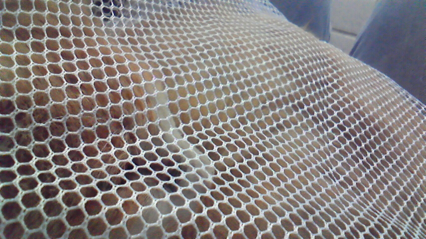f:id:kaedeya:20190607105534j:plain f:id:kaedeya:20190607105534j:plain