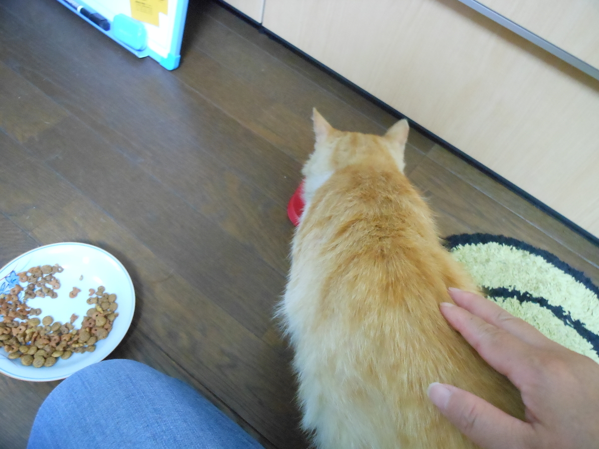 f:id:kaedeya:20190627141827j:plain f:id:kaedeya:20190627141827j:plain