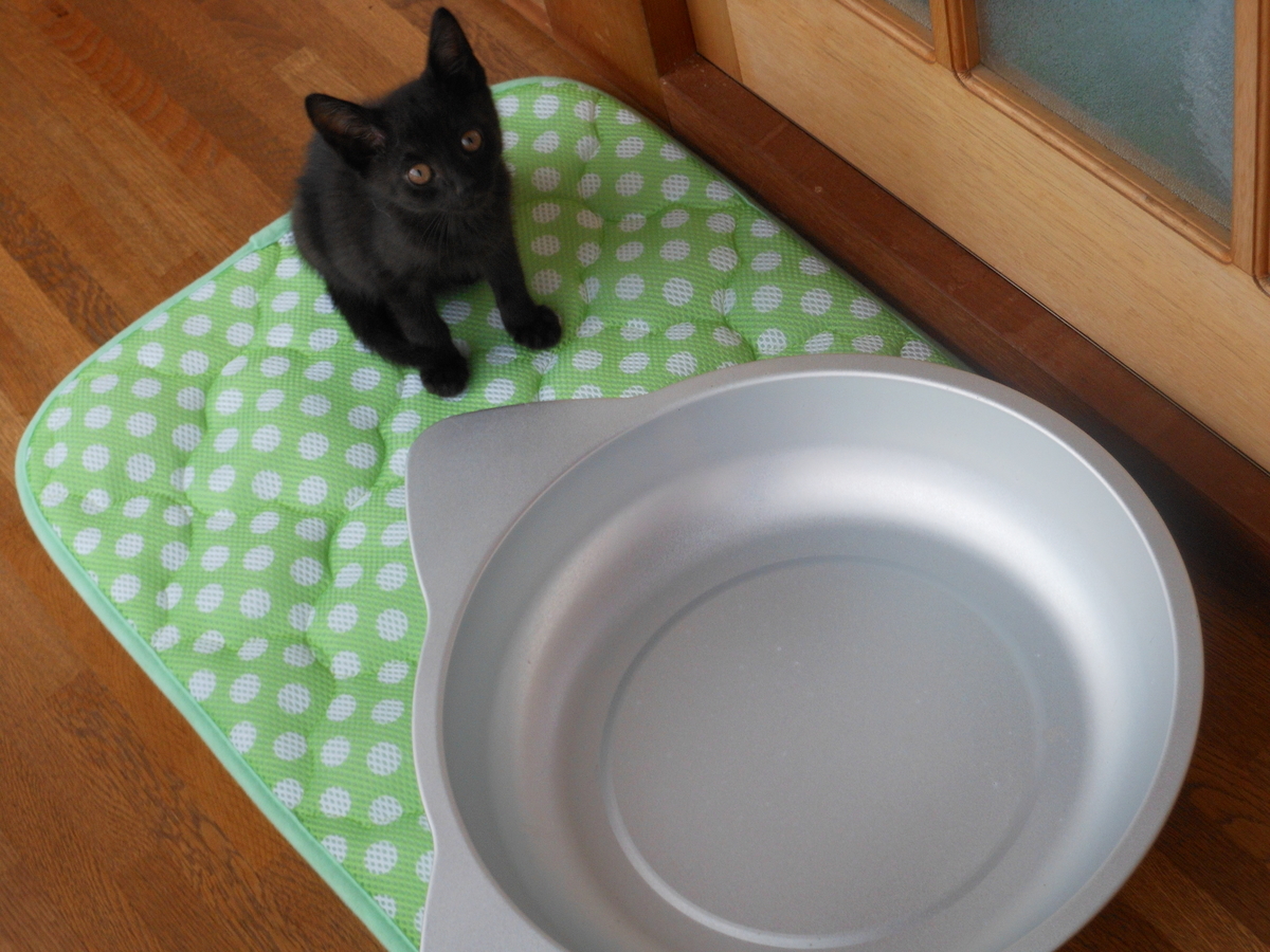 f:id:kaedeya:20190713162952j:plain f:id:kaedeya:20190713162952j:plain