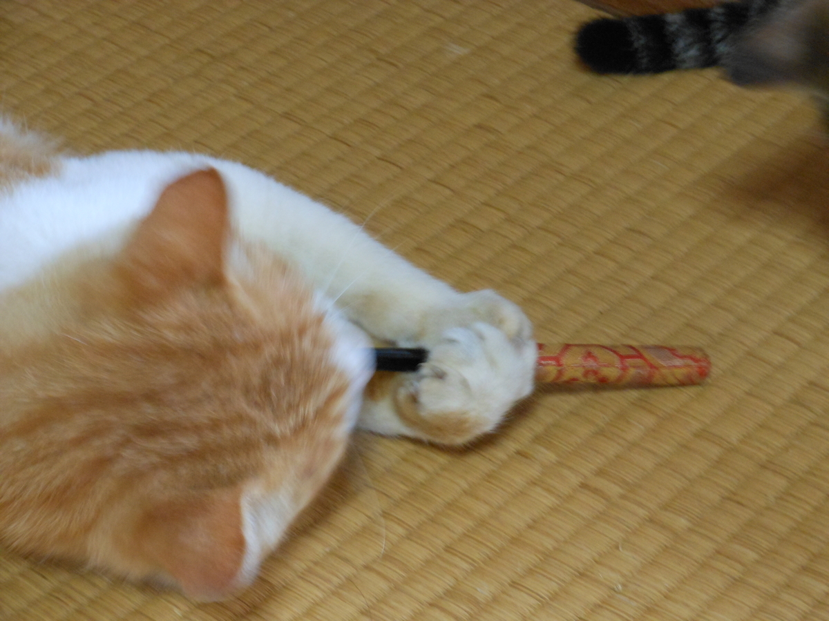 f:id:kaedeya:20190808170608j:plain f:id:kaedeya:20190808170608j:plain