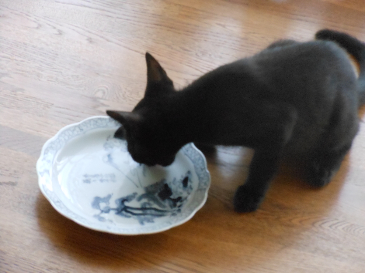 f:id:kaedeya:20190816135846j:plain