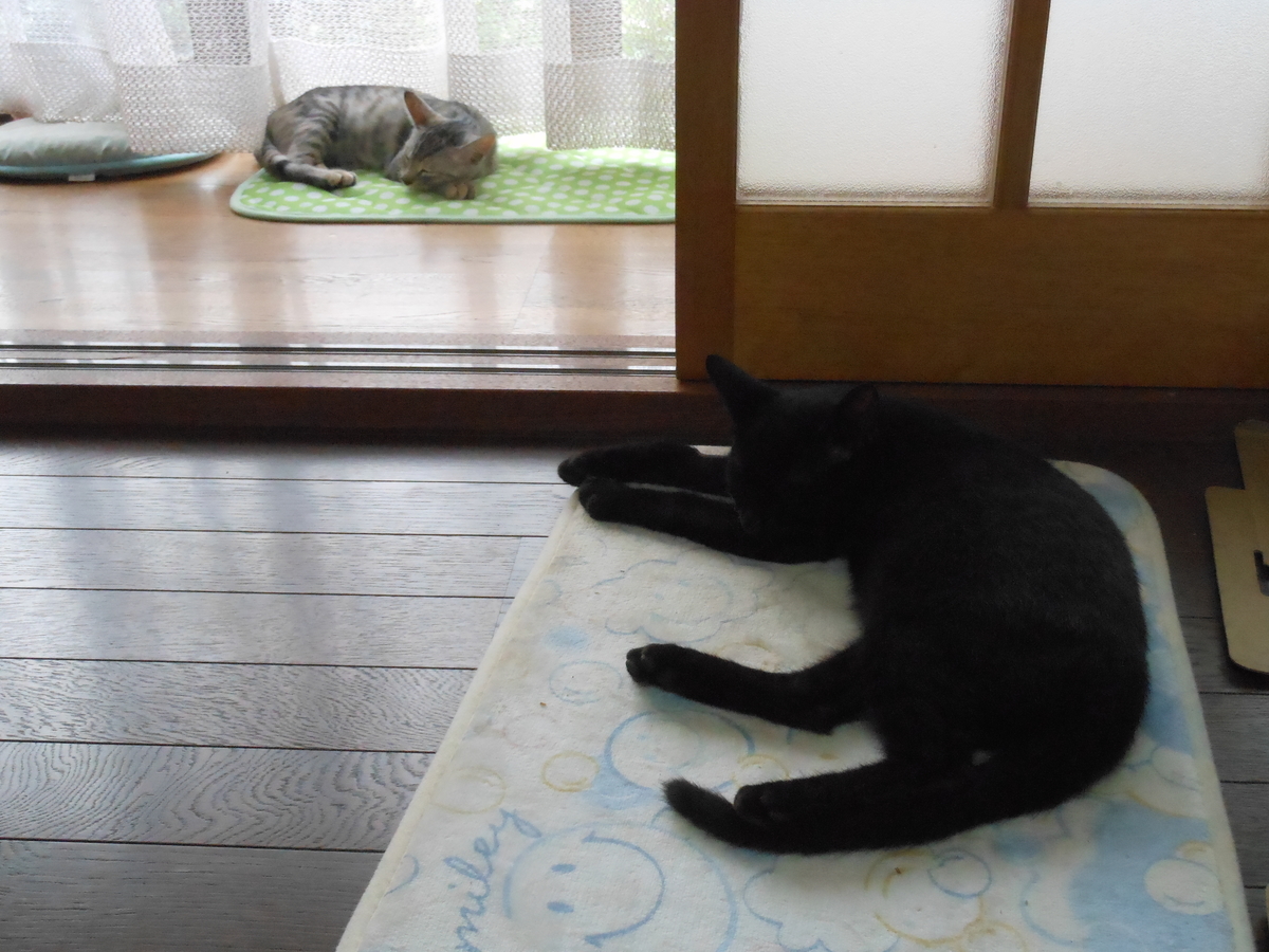 f:id:kaedeya:20190905162643j:plain f:id:kaedeya:20190905162643j:plain