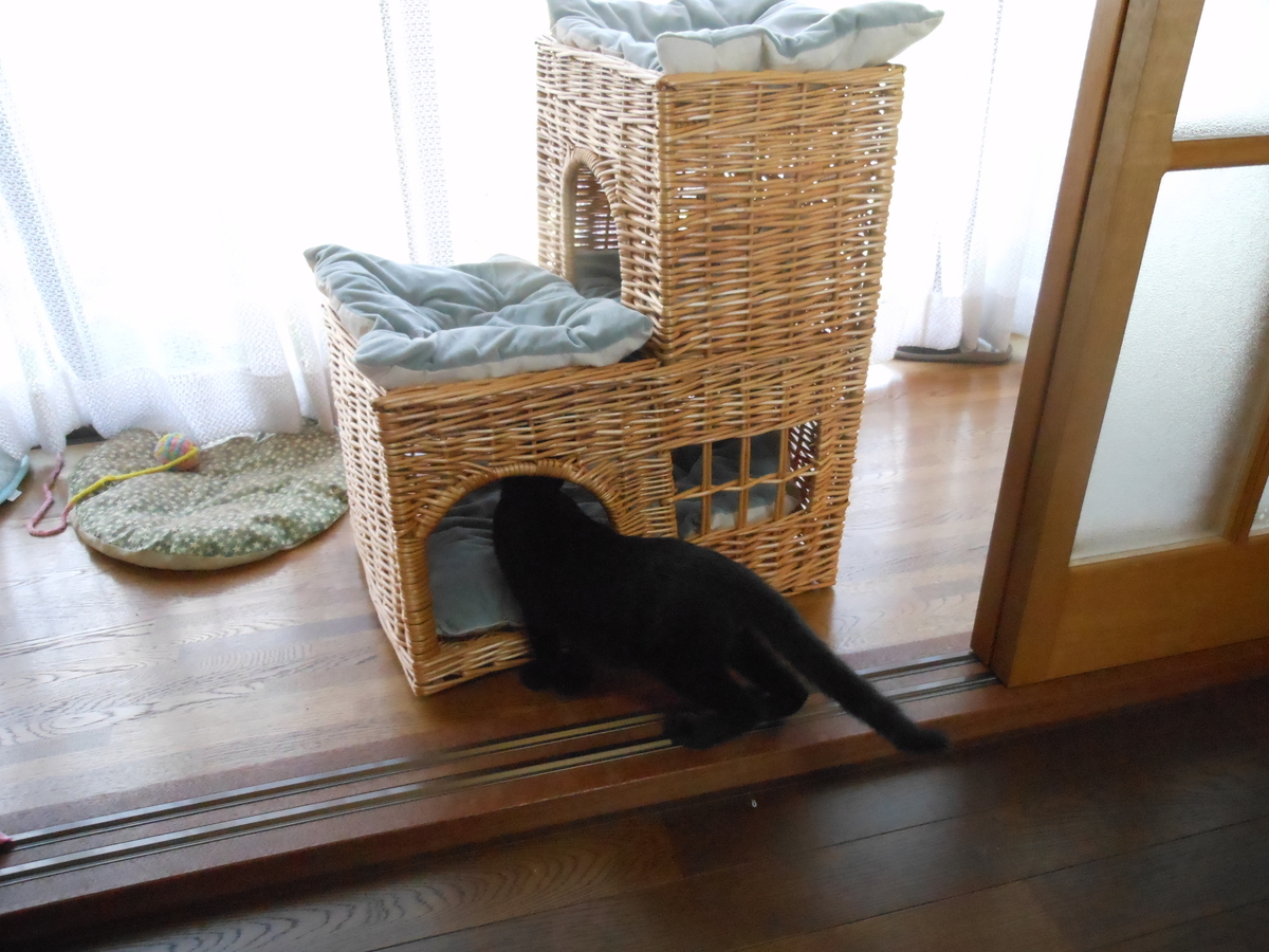 f:id:kaedeya:20190908145020j:plain f:id:kaedeya:20190908145020j:plain