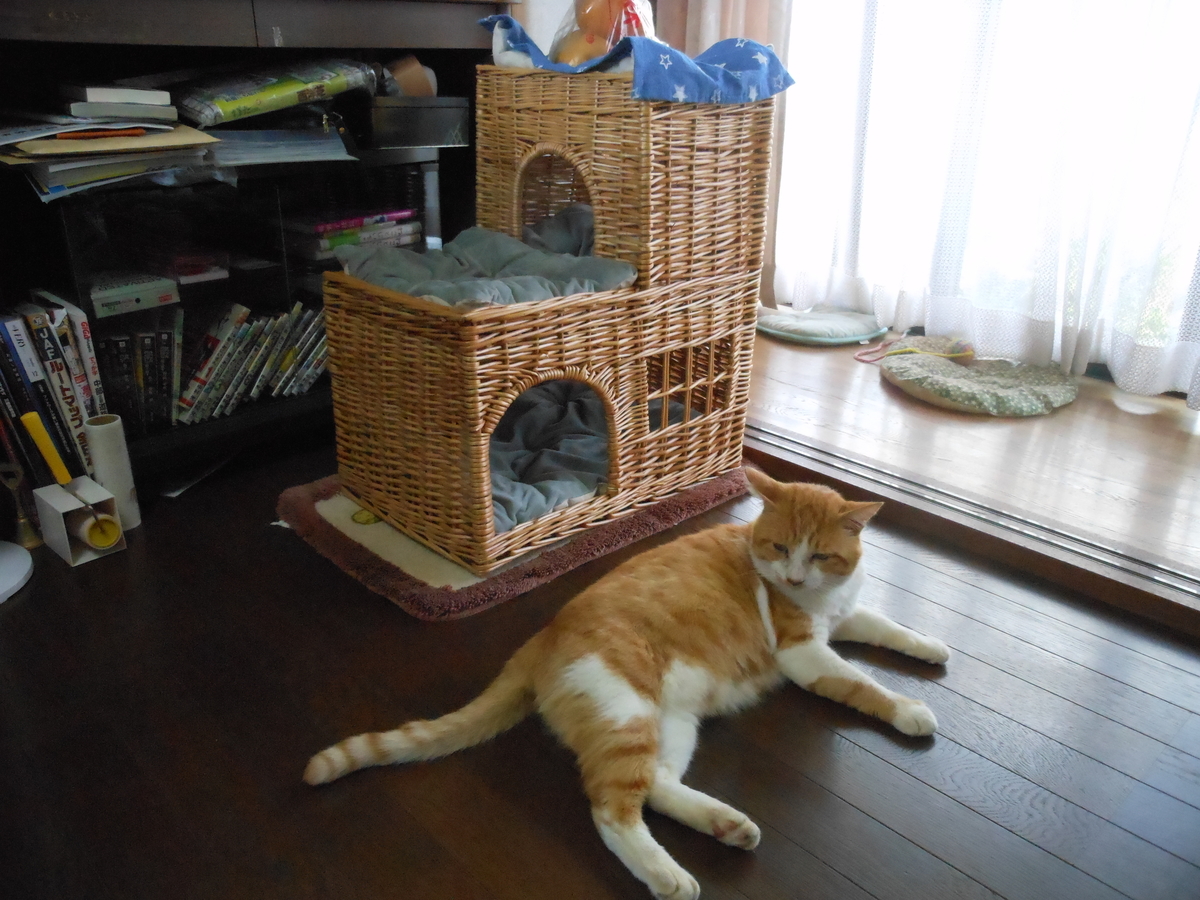 f:id:kaedeya:20190908145308j:plain f:id:kaedeya:20190908145308j:plain