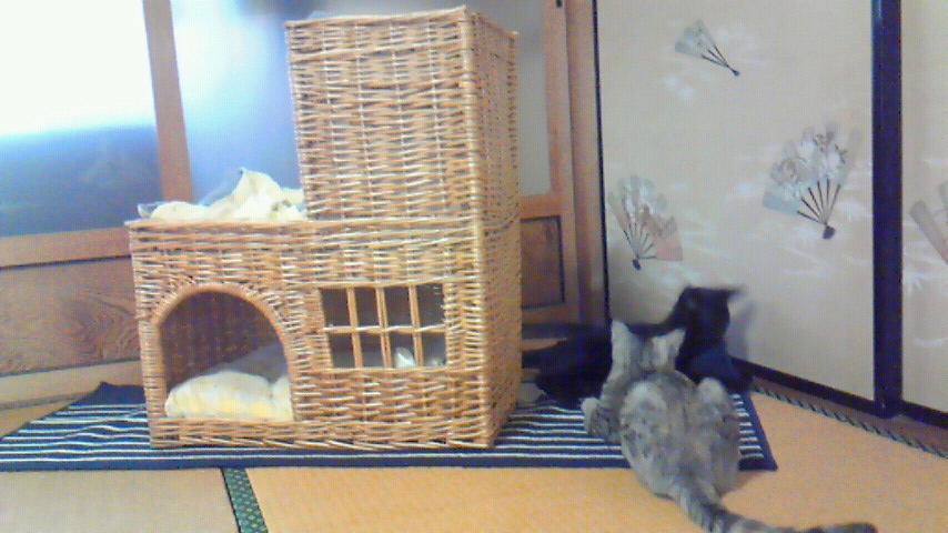 f:id:kaedeya:20190910155514j:plain f:id:kaedeya:20190910155514j:plain