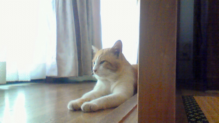 f:id:kaedeya:20190910155943j:plain f:id:kaedeya:20190910155943j:plain