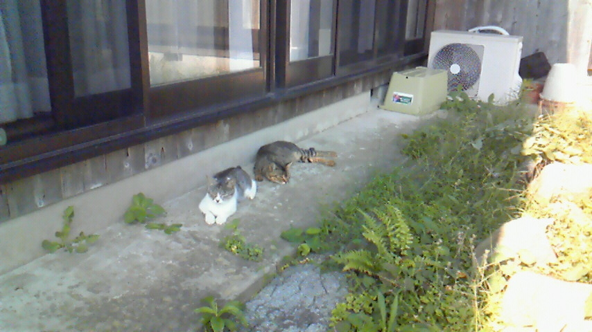 f:id:kaedeya:20190911164039j:plain
