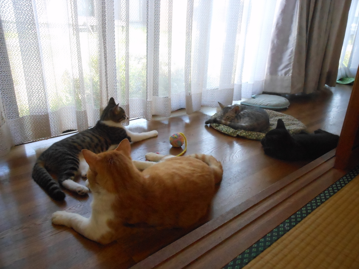 f:id:kaedeya:20190912182120j:plain