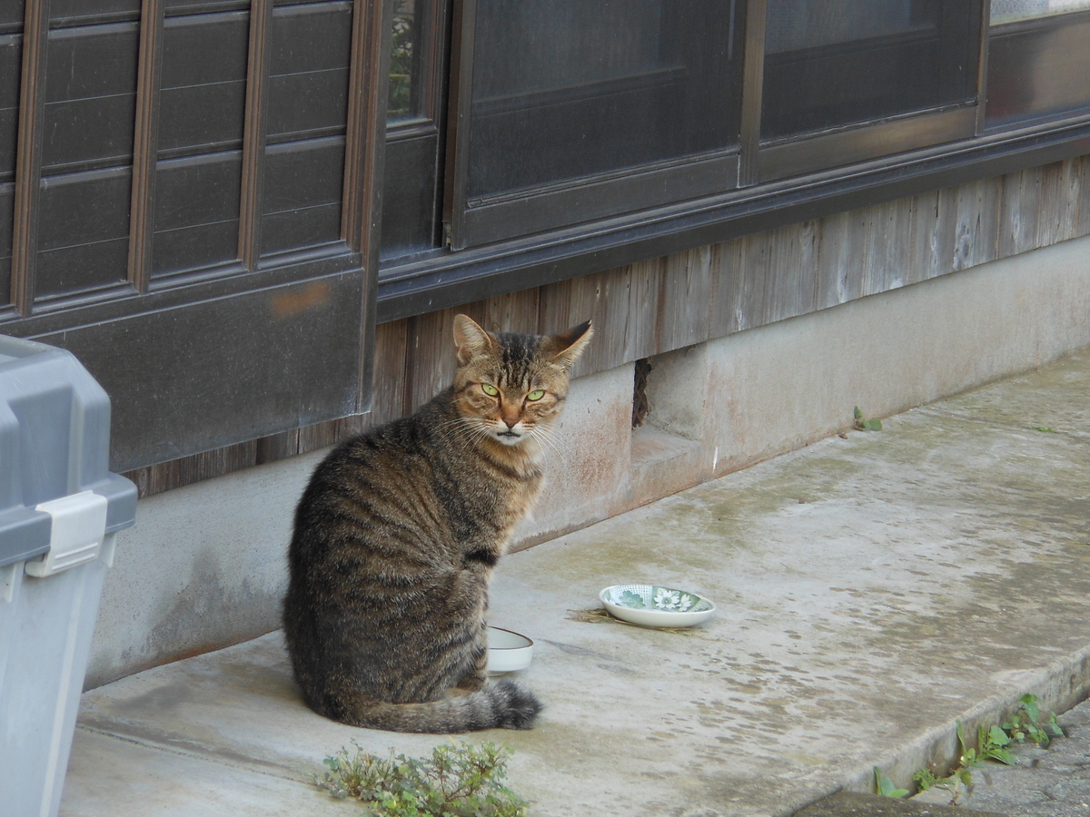 f:id:kaedeya:20190923130642j:plain f:id:kaedeya:20190923130642j:plain