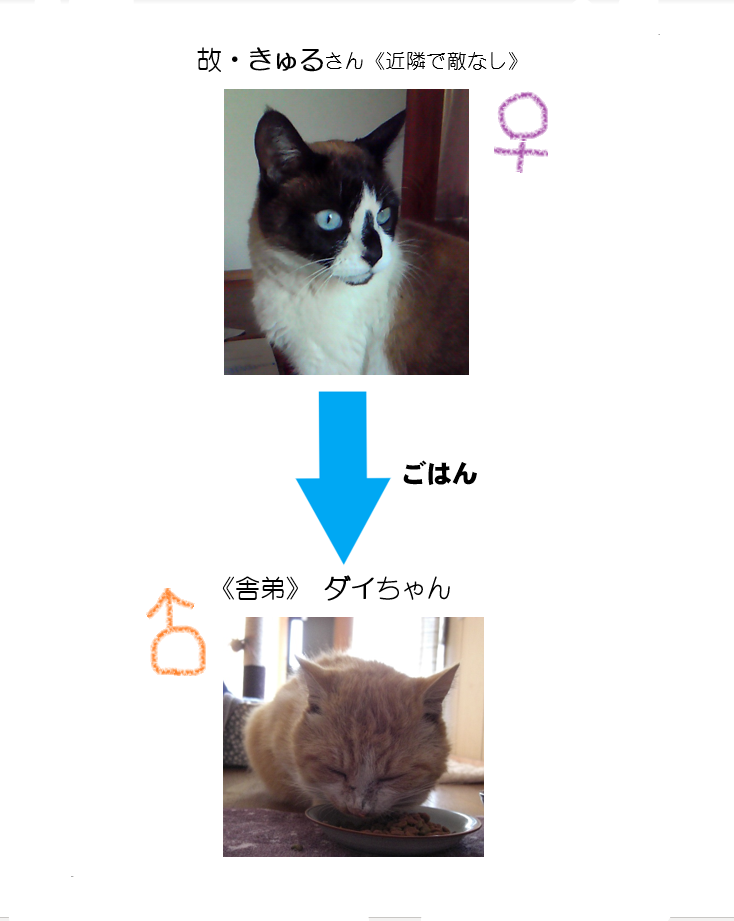 f:id:kaedeya:20190924160539p:plain f:id:kaedeya:20190924160539p:plain