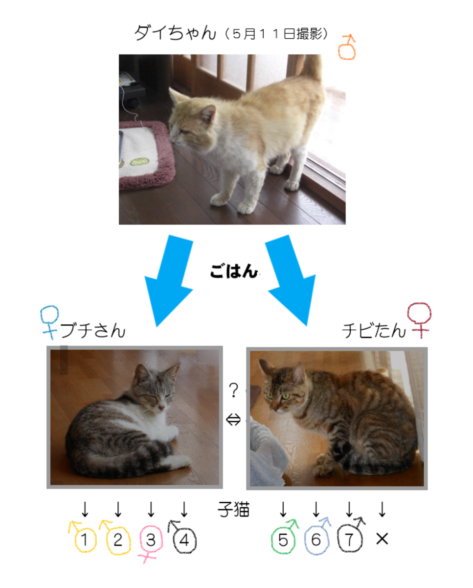 f:id:kaedeya:20190924165413p:plain f:id:kaedeya:20190924165413p:plain