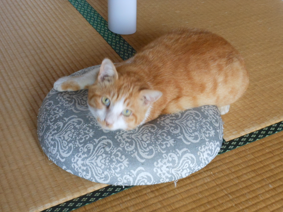 f:id:kaedeya:20191002140652j:plain f:id:kaedeya:20191002140652j:plain