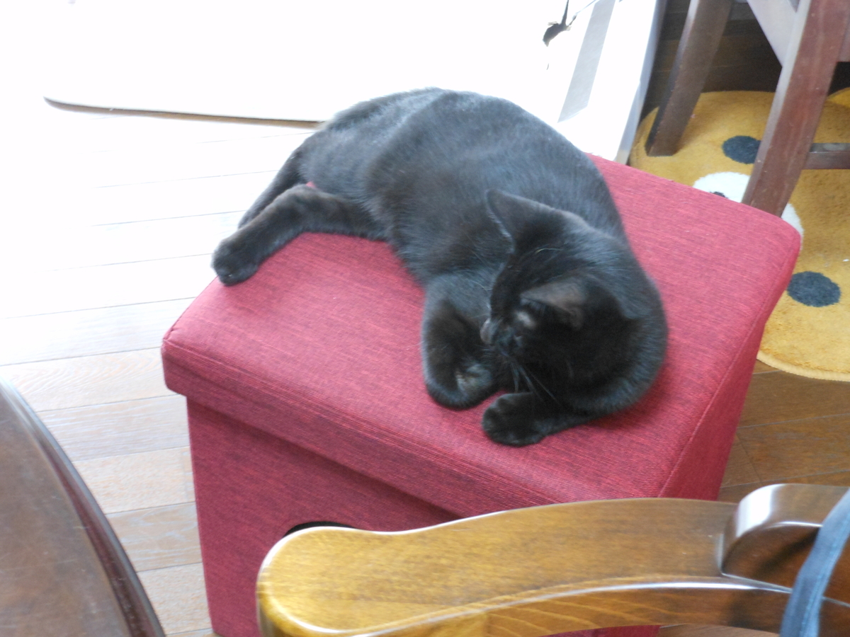 f:id:kaedeya:20191005145521j:plain