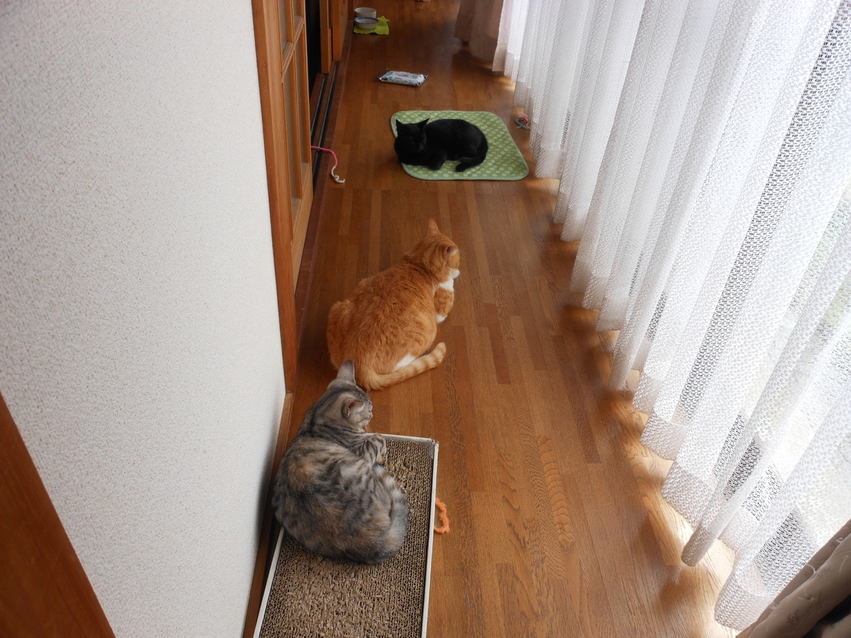 f:id:kaedeya:20191007165336j:plain f:id:kaedeya:20191007165336j:plain