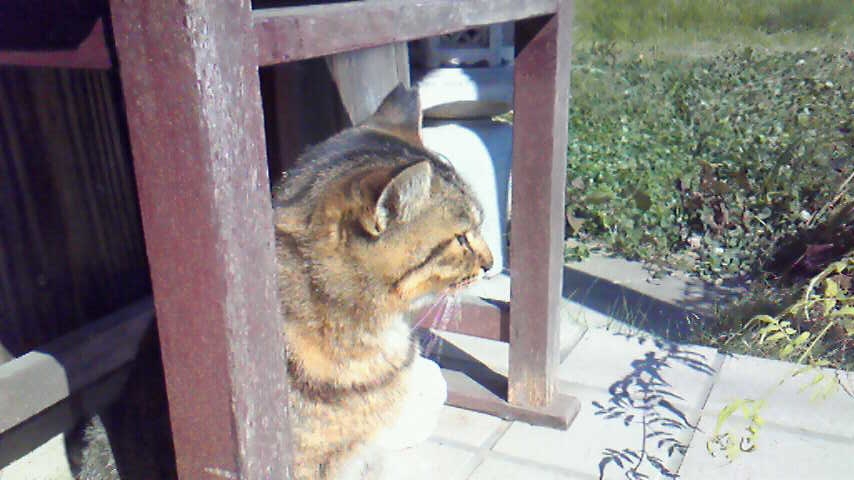 f:id:kaedeya:20191015133840j:plain f:id:kaedeya:20191015133840j:plain