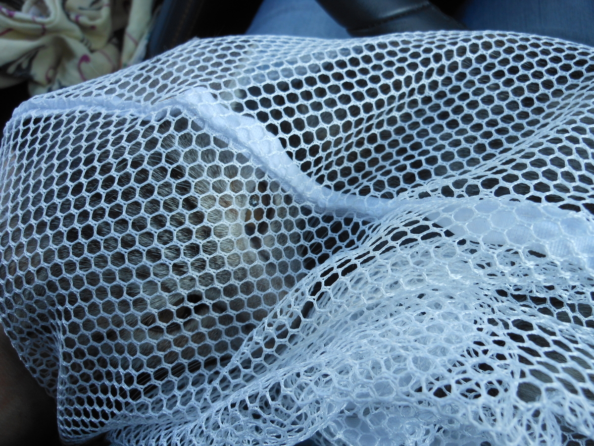 f:id:kaedeya:20191016132927j:plain f:id:kaedeya:20191016132927j:plain