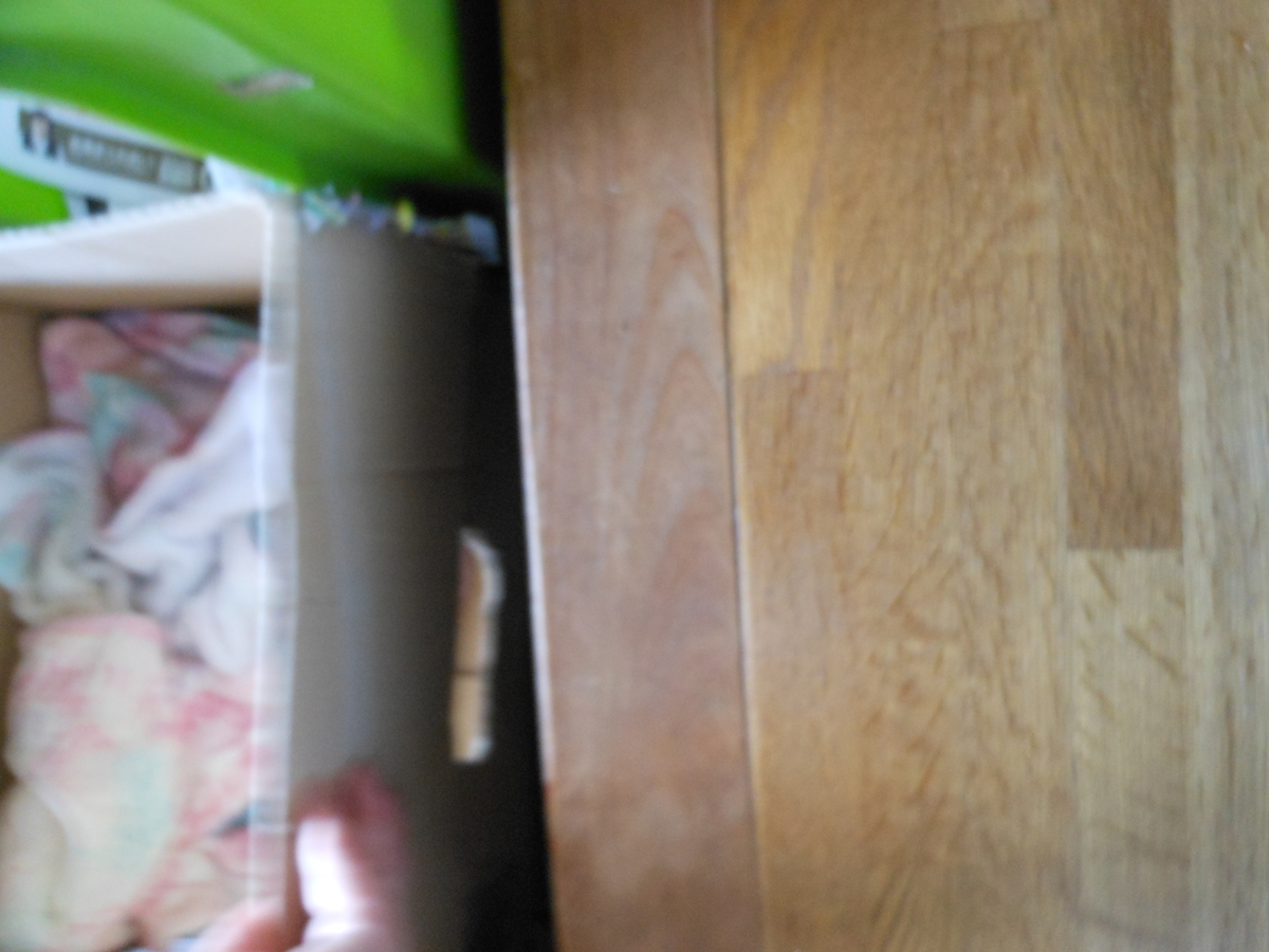 f:id:kaedeya:20191016133803j:plain f:id:kaedeya:20191016133803j:plain