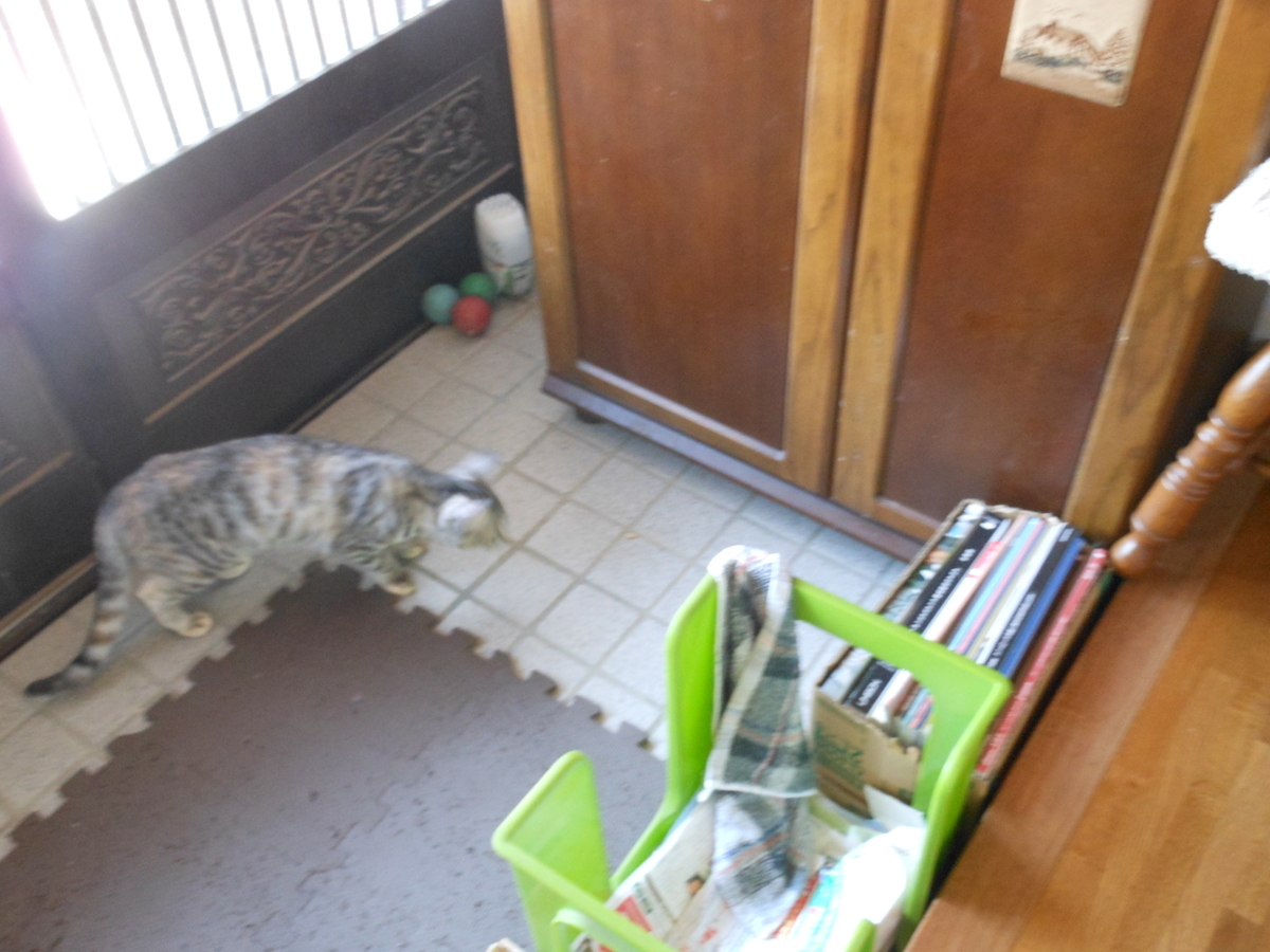 f:id:kaedeya:20191016135332j:plain f:id:kaedeya:20191016135332j:plain