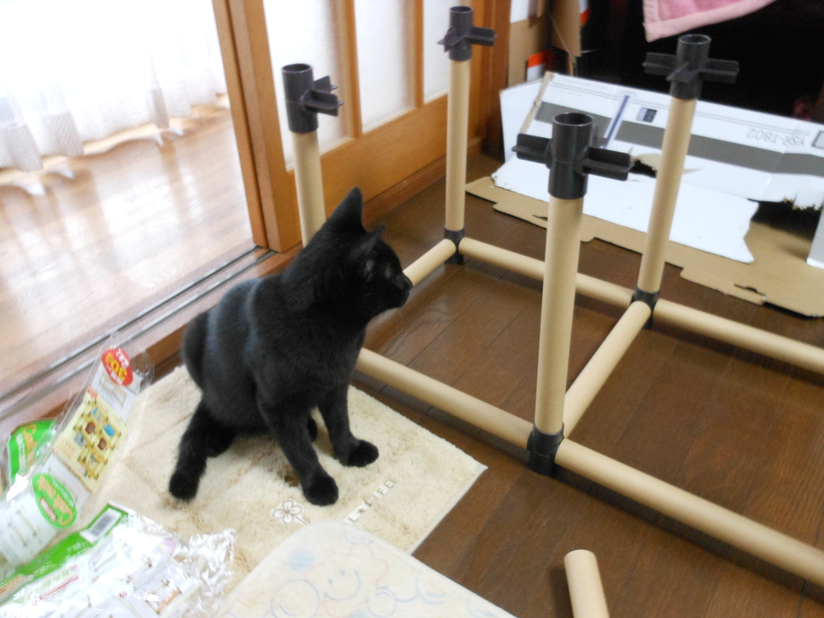 f:id:kaedeya:20191025134635j:plain