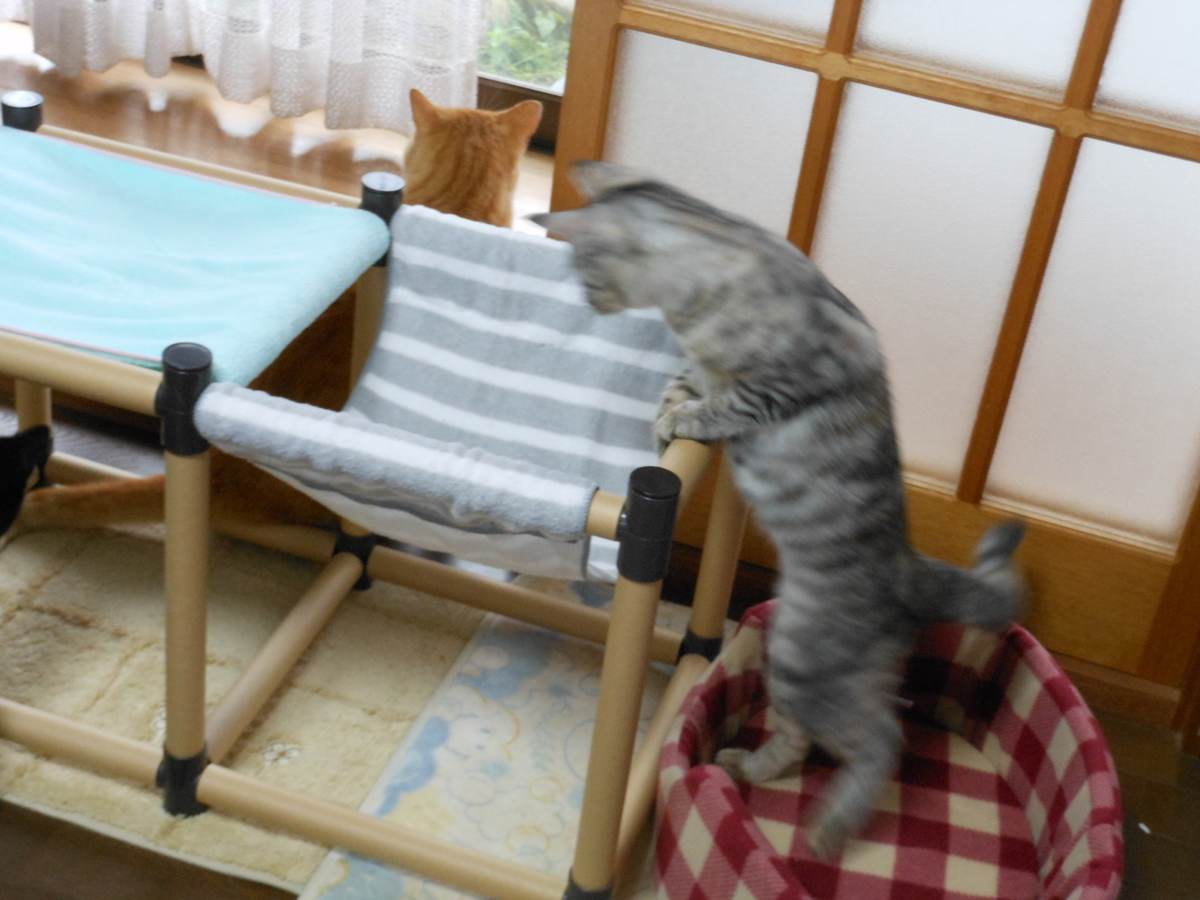 f:id:kaedeya:20191025141555j:plain
