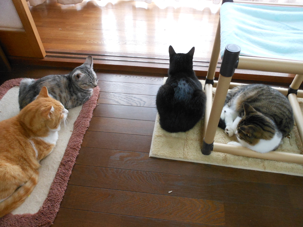 f:id:kaedeya:20191027151556j:plain