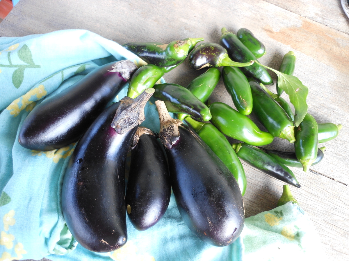 f:id:kaedeya:20191113172803j:plain