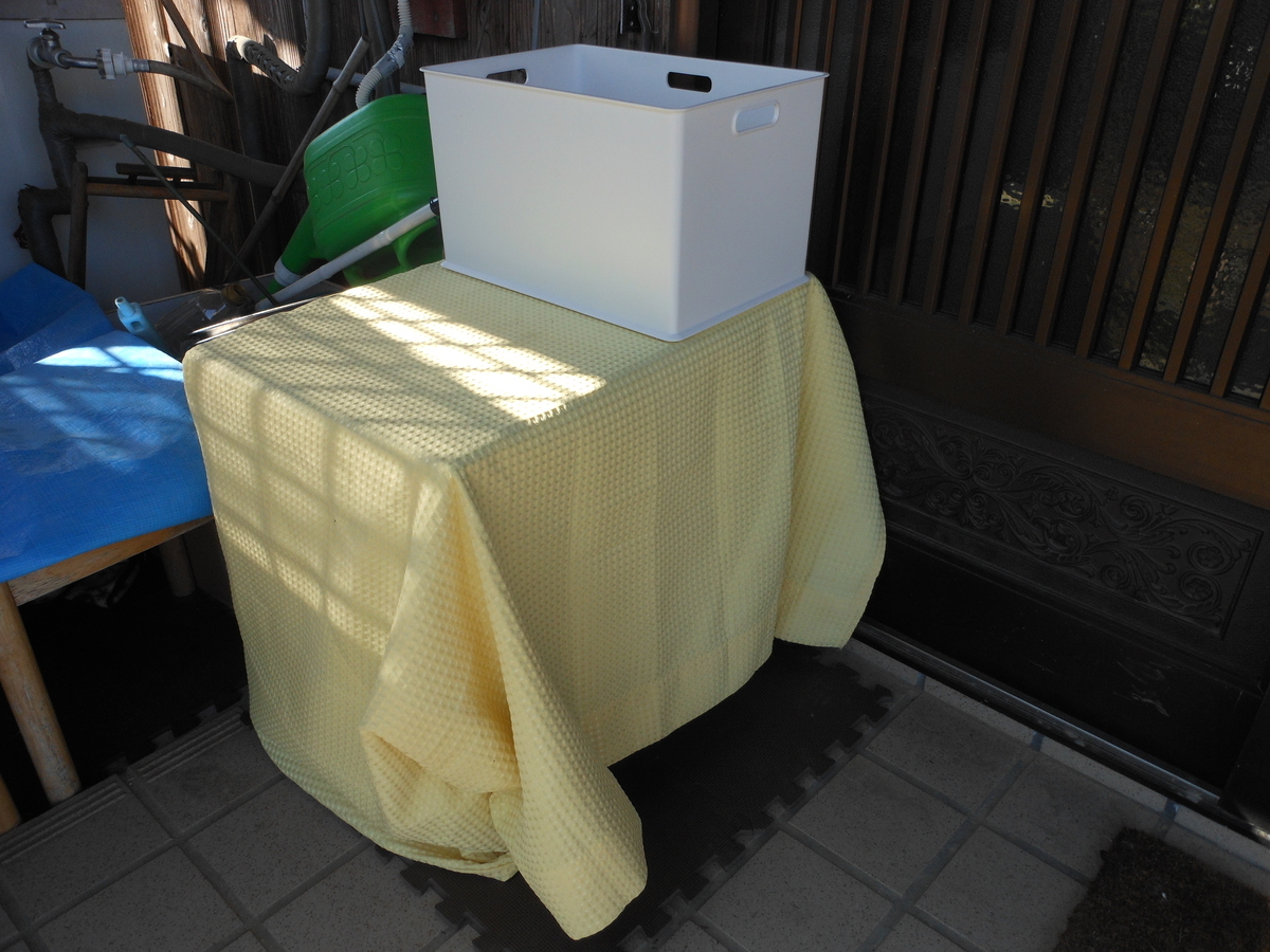 f:id:kaedeya:20191201191256j:plain f:id:kaedeya:20191201191256j:plain