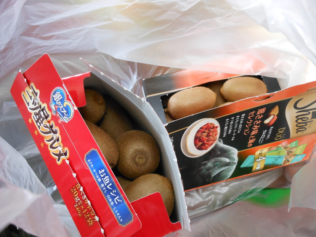 f:id:kaedeya:20191208170233j:plain