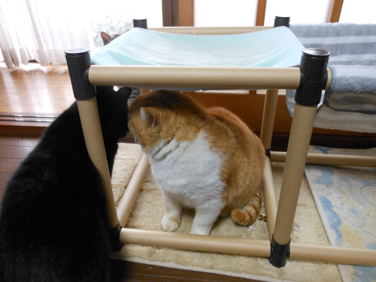 f:id:kaedeya:20191226135910j:plain