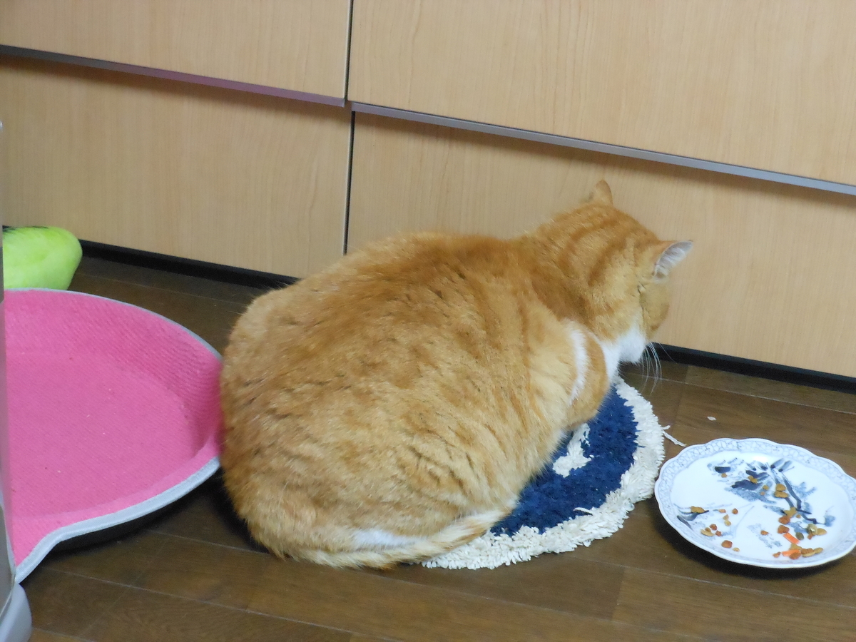 f:id:kaedeya:20191226140358j:plain