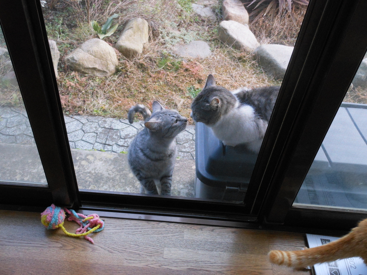 f:id:kaedeya:20200122123841j:plain