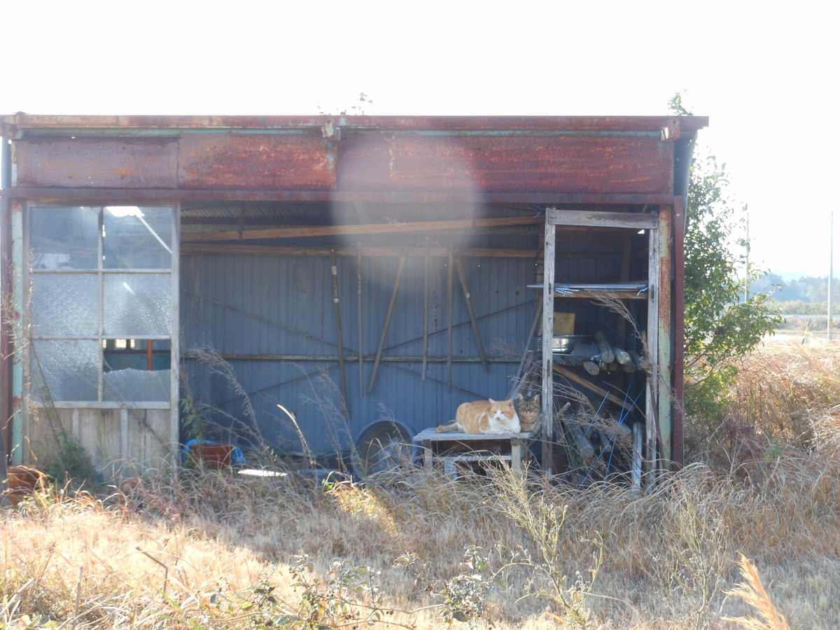 f:id:kaedeya:20200122125645j:plain